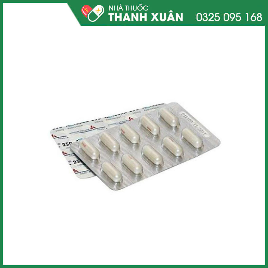 AZISSEL 250 điều trị nhiễm khuẩn đường hô hấp, răng miệng, da và mô, sinh dục, phòng nhiễm Mycobacterium avium-intracellulare (MAC) ở bệnh nhân HIV